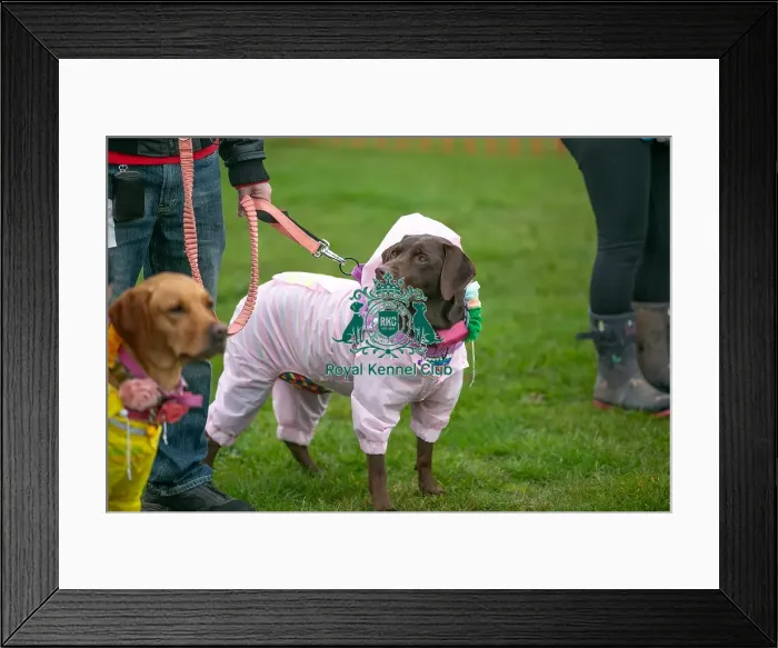 Framed Print : Scruffts Newark 23rd April 2023