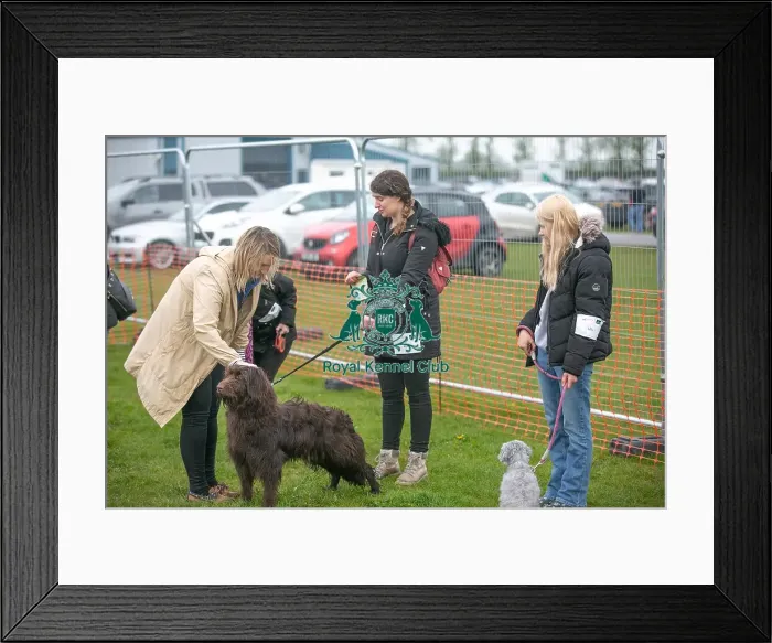 Framed Print : Scruffts Newark 23rd April 2023 Framed Print : Scruffts Newark 23rd April 2023