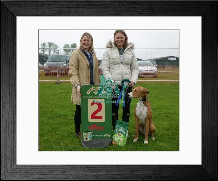 Framed Print : Scruffts Newark 23rd April 2023 Framed Print : Scruffts Newark 23rd April 2023