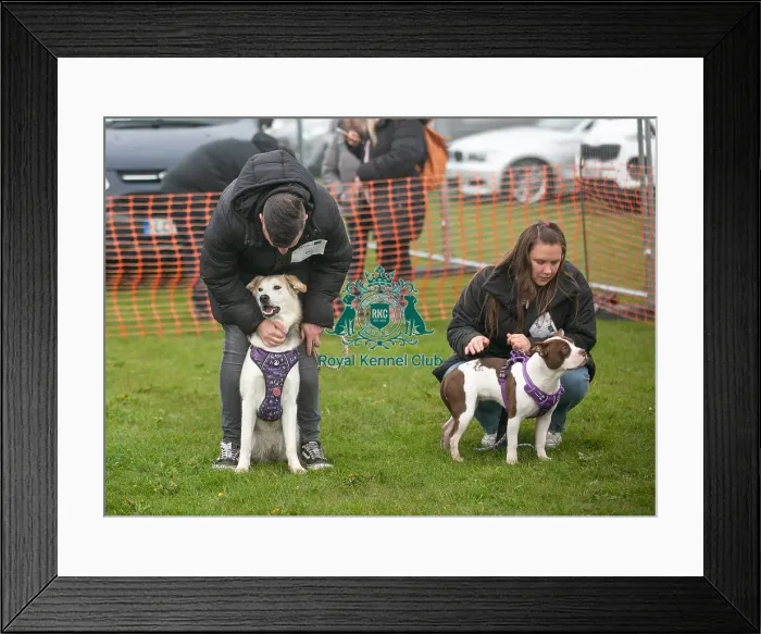 Framed Print : Scruffts Newark 23rd April 2023 Framed Print : Scruffts Newark 23rd April 2023