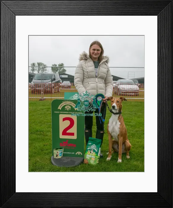 Framed Print : Scruffts Newark 23rd April 2023 Framed Print : Scruffts Newark 23rd April 2023