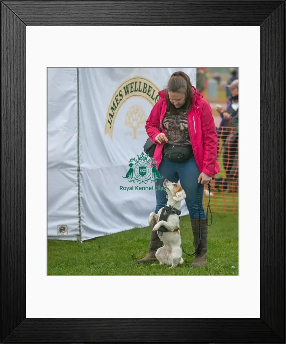 Framed Print : Scruffts Newark 23rd April 2023 Framed Print : Scruffts Newark 23rd April 2023