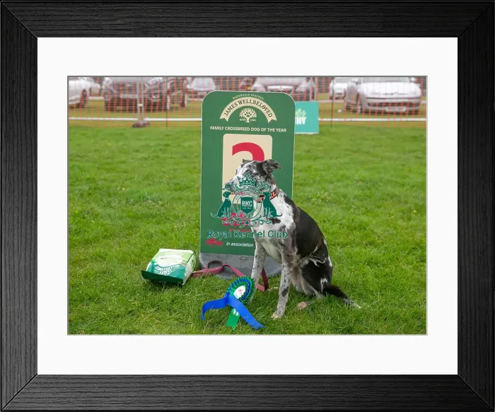 Framed Print : Scruffts Newark 23rd April 2023 Framed Print : Scruffts Newark 23rd April 2023