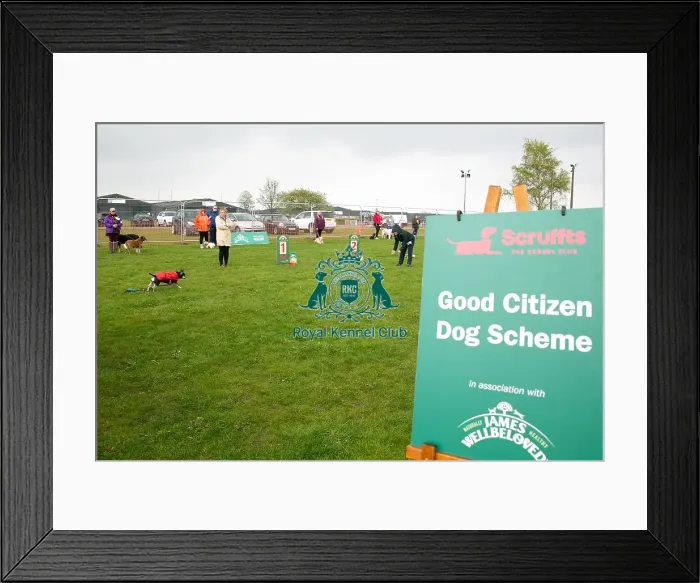 Framed Print : Scruffts Newark 23rd April 2023 Framed Print : Scruffts Newark 23rd April 2023