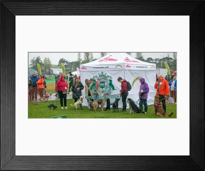 Framed Print : Scruffts Newark 23rd April 2023 Framed Print : Scruffts Newark 23rd April 2023