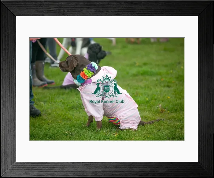 Framed Print : Scruffts Newark 23rd April 2023