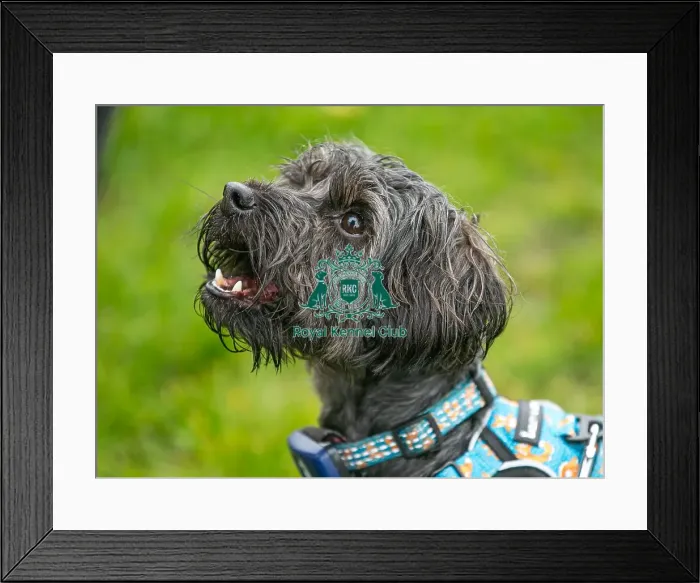 Framed Print : Scruffts Newark 23rd April 2023