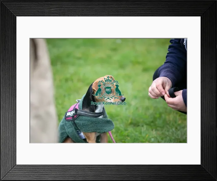 Framed Print : Scruffts Newark 23rd April 2023