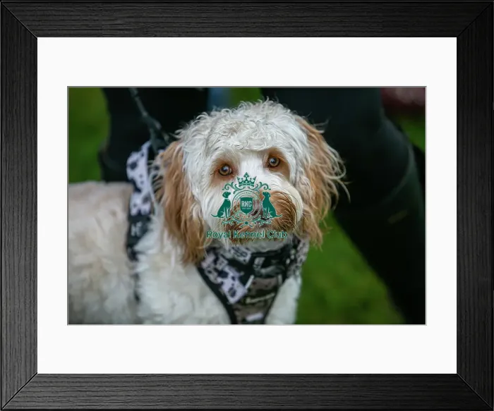Framed Print : Scruffts Newark 23rd April 2023