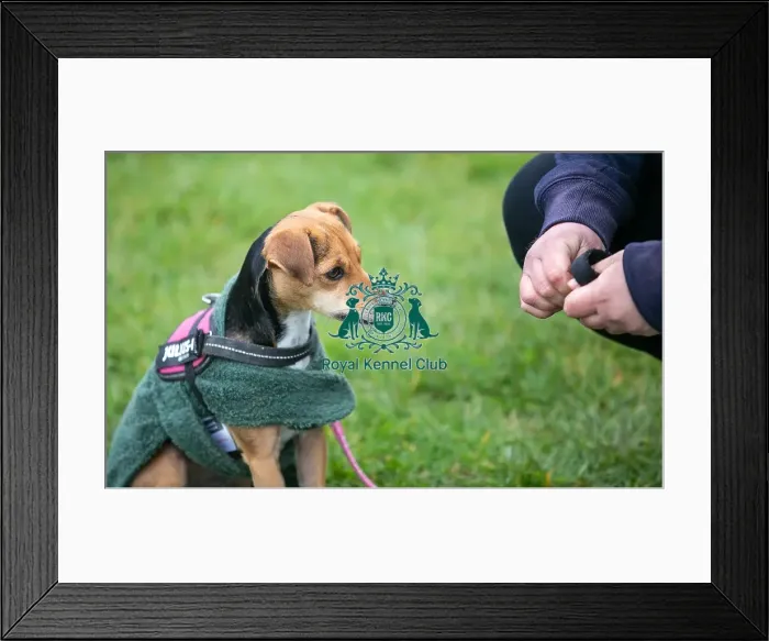 Framed Print : Scruffts Newark 23rd April 2023