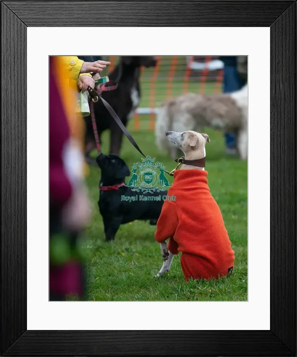 Framed Print : Scruffts Newark 23rd April 2023