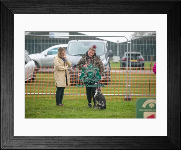 Framed Print : Scruffts Newark 23rd April 2023 Framed Print : Scruffts Newark 23rd April 2023
