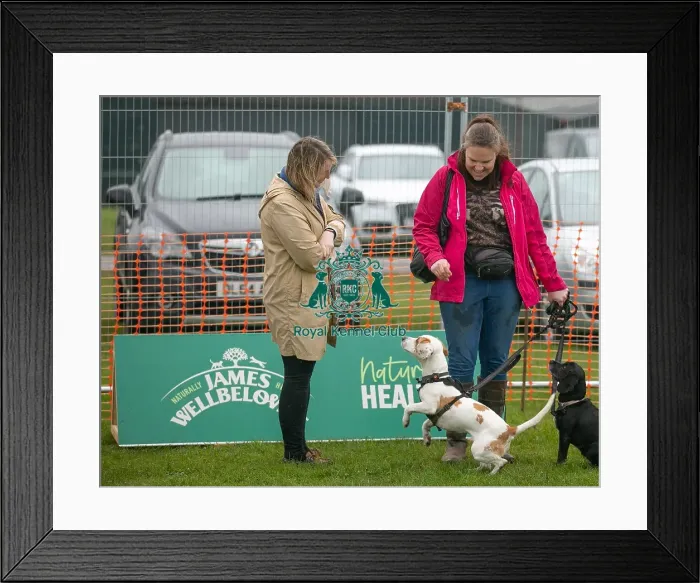 Framed Print : Scruffts Newark 23rd April 2023 Framed Print : Scruffts Newark 23rd April 2023