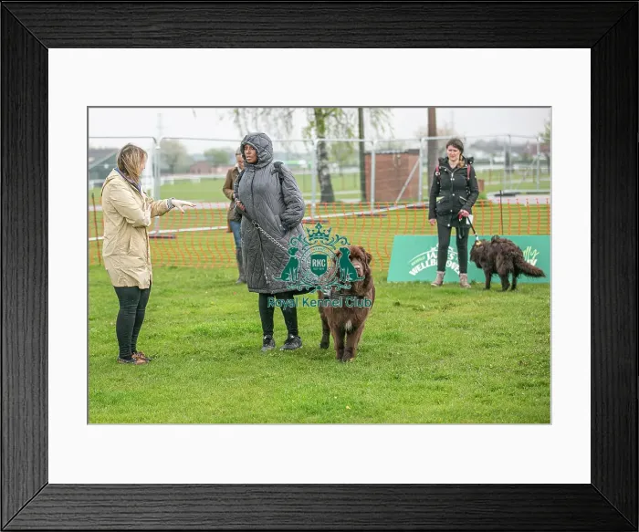 Framed Print : Scruffts Newark 23rd April 2023