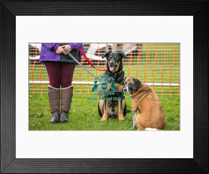 Framed Print : Scruffts Newark 23rd April 2023