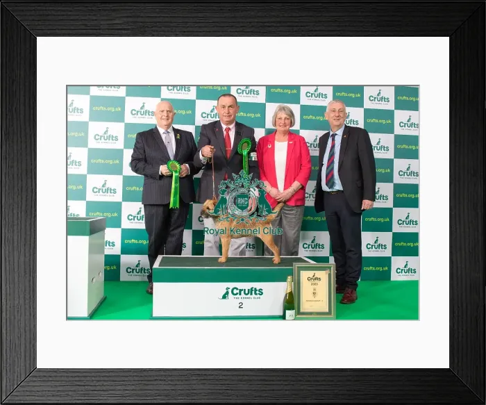 Framed Print : Terrier Group 2nd Place Crufts 2023 Framed Print : Terrier Group 2nd Place Crufts 2023