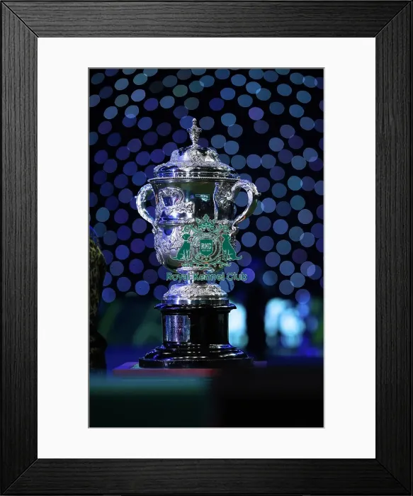 Framed Print : The Best in Show trophy, The Keddall Memorial Trophy (Sunday 12.03.23), the last day of Crufts 2023, at the NEC Birmingham Framed Print : The Best in Show trophy, The Keddall Memorial Trophy (Sunday 12.03.23), the last day of Crufts 2023, at the NEC Birmingham