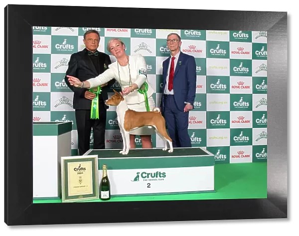 Crufts 2024 Best in Group Hound 2nd Place Basenji Se / dkk / no / hr / int Ch Naslediye Etera Atlas Holding Thes Euw 22 Euw 23 Owner: Mrs E Prahl