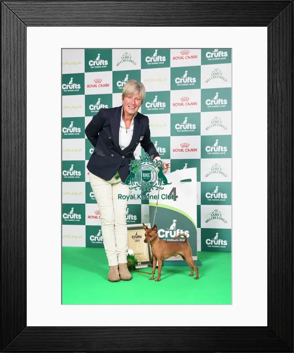 Framed Print : Crufts 2024 - Toy Group 4 Ch Hawksflight Hot Pursuit JW Owners: Ms T & Miss J Watkins & Bugden Framed Print : Crufts 2024 - Toy Group 4 Ch Hawksflight Hot Pursuit JW Owners: Ms T & Miss J Watkins & Bugden