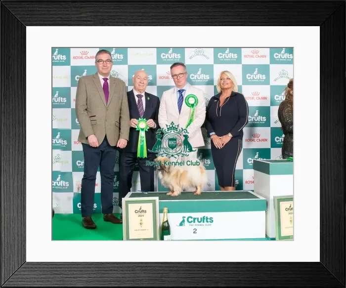 Framed Print : Crufts 2024 - Utility Group 2 Ch Castafiore Riddhima Owners Mr A & Mr L Moran & Prouve Framed Print : Crufts 2024 - Utility Group 2 Ch Castafiore Riddhima Owners Mr A & Mr L Moran & Prouve