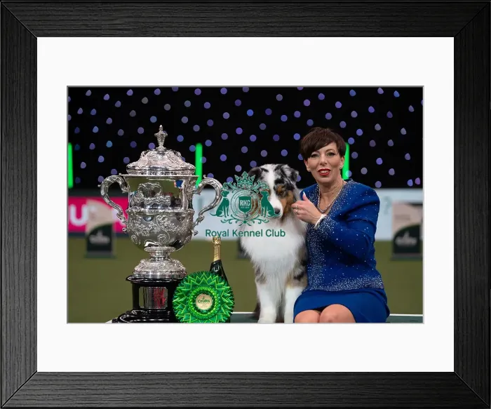 Framed Print : D-C-D-0-1-9-0 Crufts 2024 NEC Birmingham Terrier Framed Print : D-C-D-0-1-9-0 Crufts 2024 NEC Birmingham Terrier