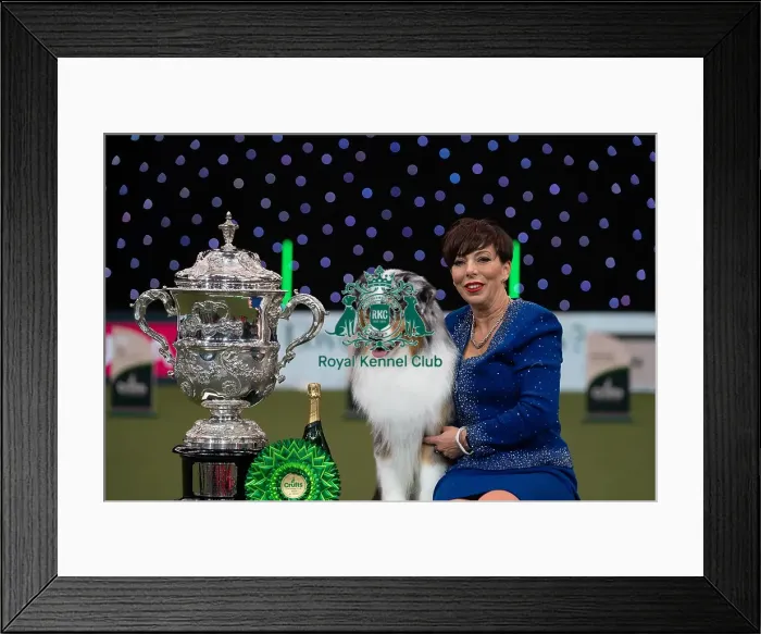 Framed Print : D-C-D-0-1-9-0 Crufts 2024 NEC Birmingham Terrier Framed Print : D-C-D-0-1-9-0 Crufts 2024 NEC Birmingham Terrier
