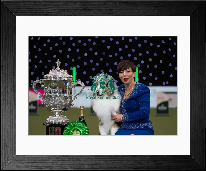 Framed Print : D-C-D-0-1-9-0 Crufts 2024 NEC Birmingham Terrier Framed Print : D-C-D-0-1-9-0 Crufts 2024 NEC Birmingham Terrier