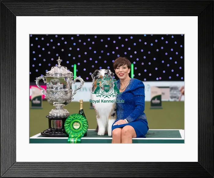 Framed Print : D-C-D-0-1-9-0 Crufts 2024 NEC Birmingham Terrier Framed Print : D-C-D-0-1-9-0 Crufts 2024 NEC Birmingham Terrier