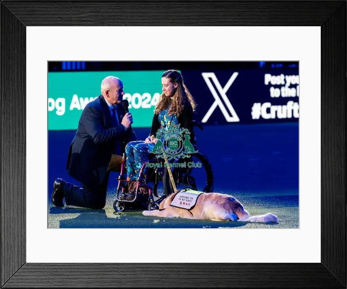 Framed Print : D-C-D-0-1-9-0 Crufts 2024 NEC Birmingham Day 4 Framed Print : D-C-D-0-1-9-0 Crufts 2024 NEC Birmingham Day 4