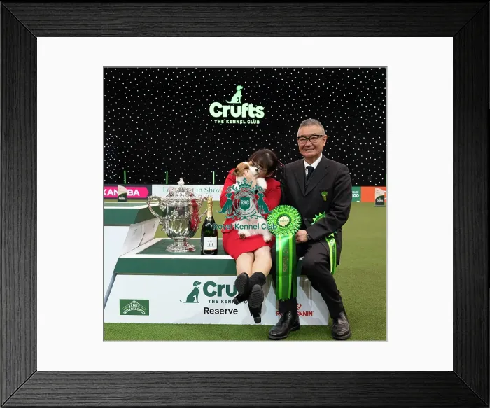 Framed Print : D-C-D-0-1-9-0 Crufts 2024 NEC Birmingham Terrier Framed Print : D-C-D-0-1-9-0 Crufts 2024 NEC Birmingham Terrier