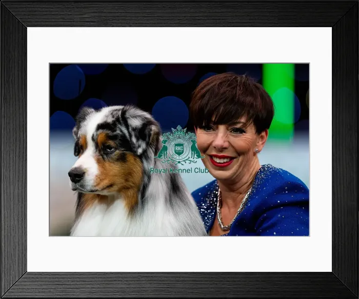 Framed Print : D-C-D-0-1-9-0 Crufts 2024 NEC Birmingham Terrier Framed Print : D-C-D-0-1-9-0 Crufts 2024 NEC Birmingham Terrier