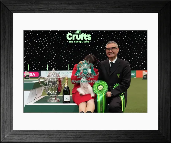 Framed Print : D-C-D-0-1-9-0 Crufts 2024 NEC Birmingham Terrier Framed Print : D-C-D-0-1-9-0 Crufts 2024 NEC Birmingham Terrier
