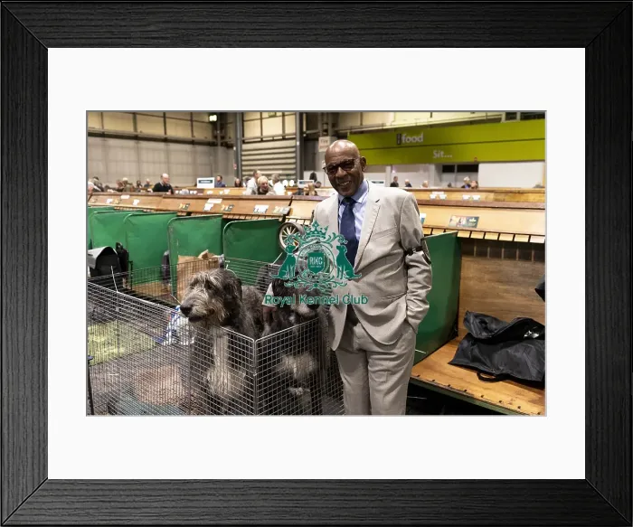 Framed Print : D-C-D-0-1-9-0 Crufts 2024 NEC Birmingham Day 3 Framed Print : D-C-D-0-1-9-0 Crufts 2024 NEC Birmingham Day 3