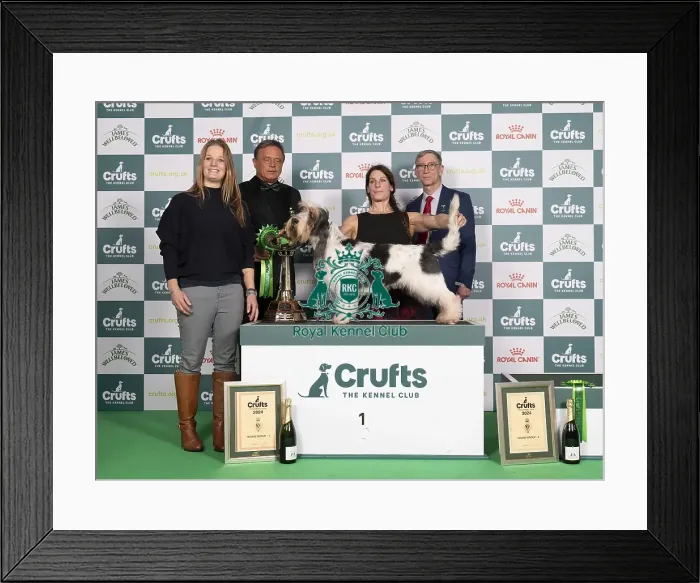 Framed Print : D-C-D-0-1-9-0 Crufts 2024 NEC Birmingham Hound Framed Print : D-C-D-0-1-9-0 Crufts 2024 NEC Birmingham Hound