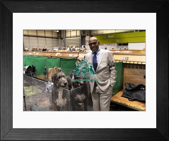 Framed Print : D-C-D-0-1-9-0 Crufts 2024 NEC Birmingham Day 3 Framed Print : D-C-D-0-1-9-0 Crufts 2024 NEC Birmingham Day 3