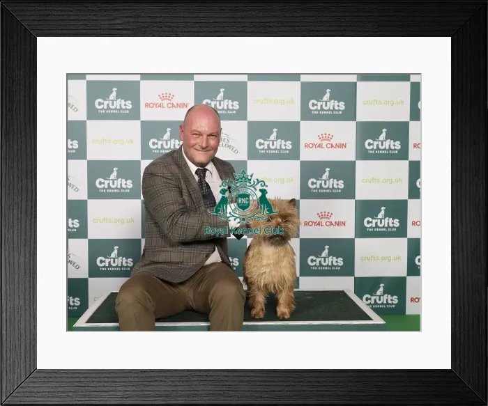 Framed Print : D-C-D-0-1-9-0 Crufts 2024 NEC Birmingham Terrier Framed Print : D-C-D-0-1-9-0 Crufts 2024 NEC Birmingham Terrier
