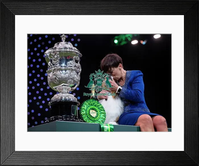 Framed Print : D-C-D-0-1-9-0 Crufts 2024 NEC Birmingham Terrier Framed Print : D-C-D-0-1-9-0 Crufts 2024 NEC Birmingham Terrier