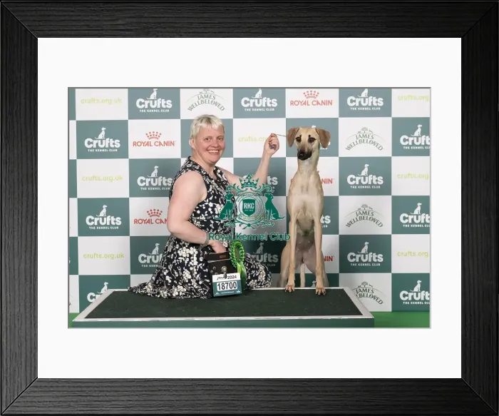 Framed Print : D-C-D-0-1-9-0 Crufts 2024 NEC Birmingham Hound Framed Print : D-C-D-0-1-9-0 Crufts 2024 NEC Birmingham Hound