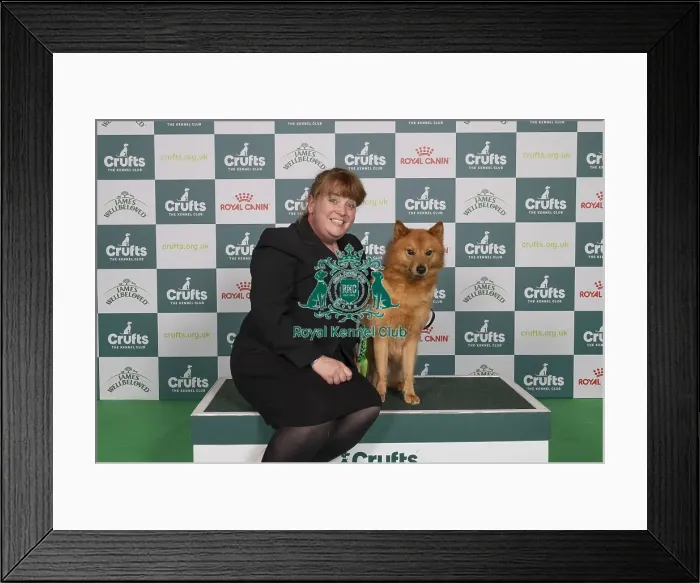 Framed Print : D-C-D-0-1-9-0 Crufts 2024 NEC Birmingham Hound