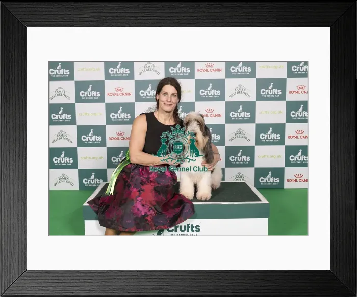 Framed Print : D-C-D-0-1-9-0 Crufts 2024 NEC Birmingham Hound Framed Print : D-C-D-0-1-9-0 Crufts 2024 NEC Birmingham Hound