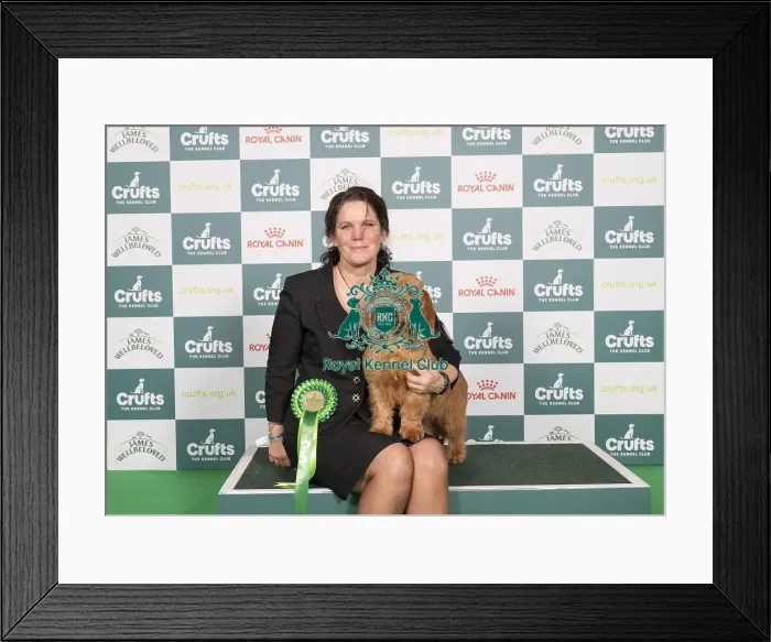 Framed Print : D-C-D-0-1-9-0 Crufts 2024 NEC Birmingham Hound Framed Print : D-C-D-0-1-9-0 Crufts 2024 NEC Birmingham Hound