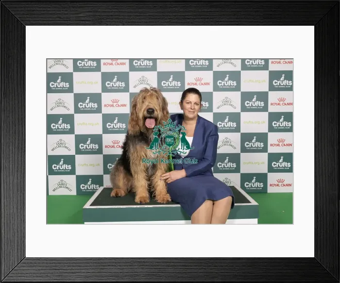 Framed Print : D-C-D-0-1-9-0 Crufts 2024 NEC Birmingham Hound Framed Print : D-C-D-0-1-9-0 Crufts 2024 NEC Birmingham Hound