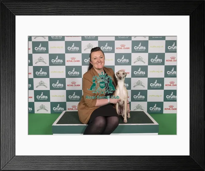 Framed Print : D-C-D-0-1-9-0 Crufts 2024 NEC Birmingham Hound
