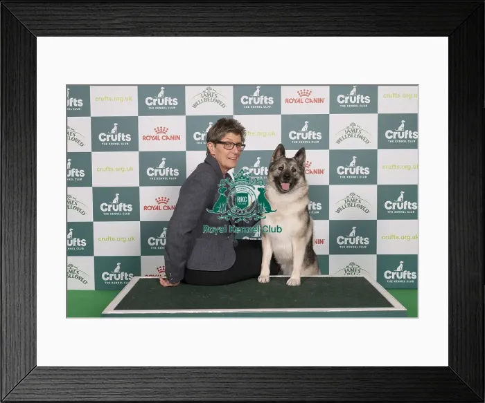 Framed Print : D-C-D-0-1-9-0 Crufts 2024 NEC Birmingham Hound Framed Print : D-C-D-0-1-9-0 Crufts 2024 NEC Birmingham Hound