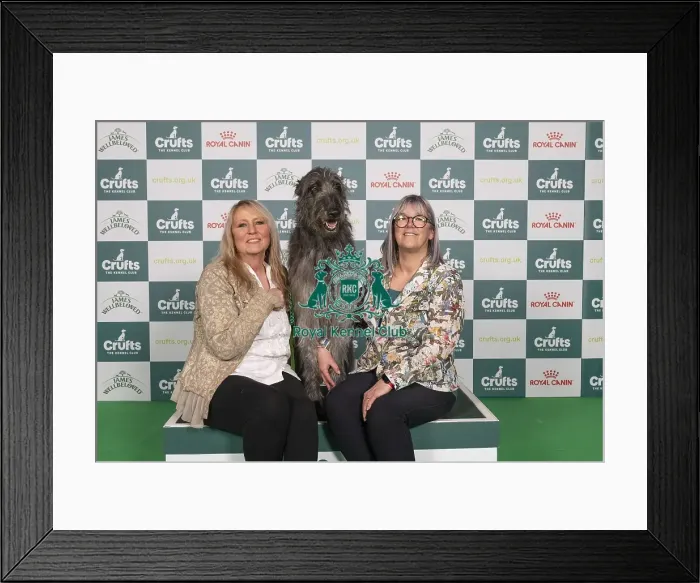 Framed Print : D-C-D-0-1-9-0 Crufts 2024 NEC Birmingham Hound