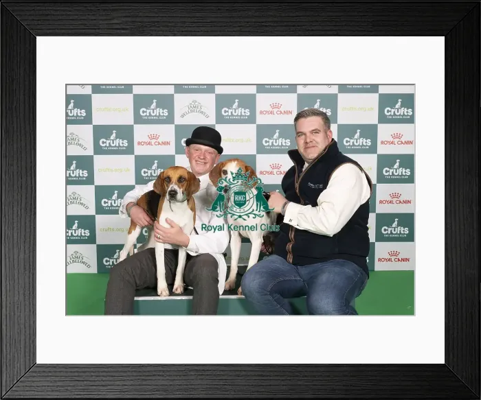 Framed Print : D-C-D-0-1-9-0 Crufts 2024 NEC Birmingham Hound Framed Print : D-C-D-0-1-9-0 Crufts 2024 NEC Birmingham Hound