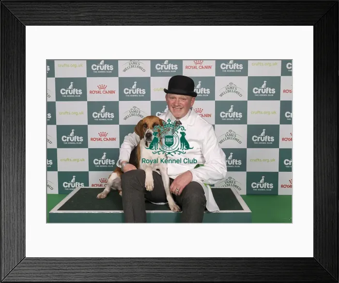 Framed Print : D-C-D-0-1-9-0 Crufts 2024 NEC Birmingham Hound Framed Print : D-C-D-0-1-9-0 Crufts 2024 NEC Birmingham Hound