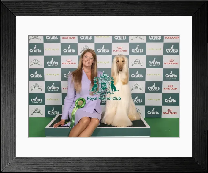 Framed Print : D-C-D-0-1-9-0 Crufts 2024 NEC Birmingham Hound Framed Print : D-C-D-0-1-9-0 Crufts 2024 NEC Birmingham Hound