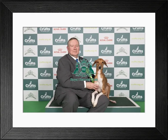 Framed Print : D-C-D-0-1-9-0 Crufts 2024 NEC Birmingham Hound Framed Print : D-C-D-0-1-9-0 Crufts 2024 NEC Birmingham Hound