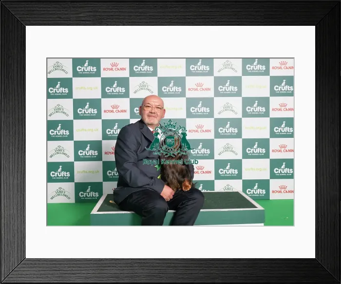 Framed Print : D-C-D-0-1-9-0 Crufts 2024 NEC Birmingham Hound Framed Print : D-C-D-0-1-9-0 Crufts 2024 NEC Birmingham Hound
